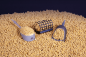 Preview: Dynamite Baits Big Fish Feeder Ready Pellets Sweet Banoffi