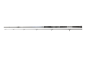 Preview: Daiwa Sealine Pilk 100-250g 2,25m