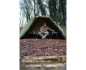 Preview: Korum Recoil Overnight Shelter