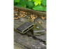 Preview: Korum Rig Winder Blox Slim