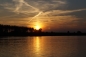 Preview: Catsounder XRS ACC Waller-Bissanzeiger 2er Set
