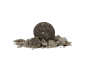 Preview: Avid Carp B8-Up Fish Boilies 5Kg