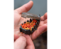 Preview: Korum Bait Gripper Feeder 120g