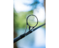 Preview: Korum Opportunist 2.25lb 10ft