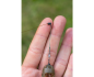 Preview: Preston Feeder Links Soft Short 55mm
