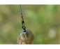 Preview: Preston Feeder Links Soft Short 55mm
