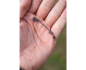Preview: Preston Feeder Links Stiff Long 80mm