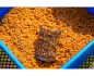 Preview: Preston Wire Bait Up Feeder 30g