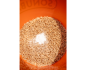 Preview: Sonubaits Maggot Glue - Madenkleber