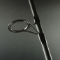 Preview: Sportex Advancer Carp CS-3 10ft 3,00lbs