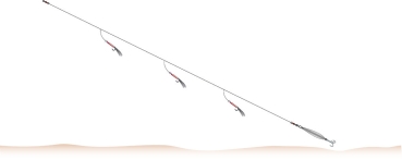 Balzer 71° North Dorsch & Köhler System Pink