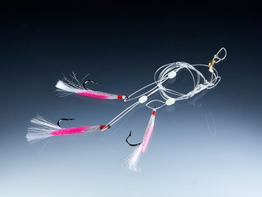 Balzer 71° North Dorsch & Köhler System Pink