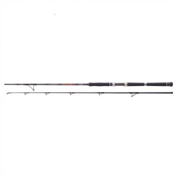 Cormoran Big Cat Ultra Lifter Vertical Jigger 100-300g Welsrute Wallerrute Rod 