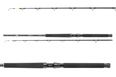 Daiwa Tanacom Ultra Deep 2,10m 400-1000g