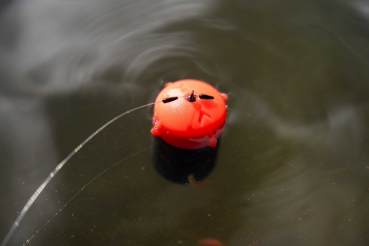 Preview: Korum Floating Feeder