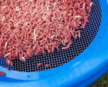 Preview: Preston Riddle Futtersieb 4mm