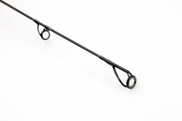 Preview: Sportex Regera RG2705 40-110g 2,70m