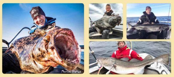 Balzer Adrenalin Travel Medium 2,15m 120-400gr.