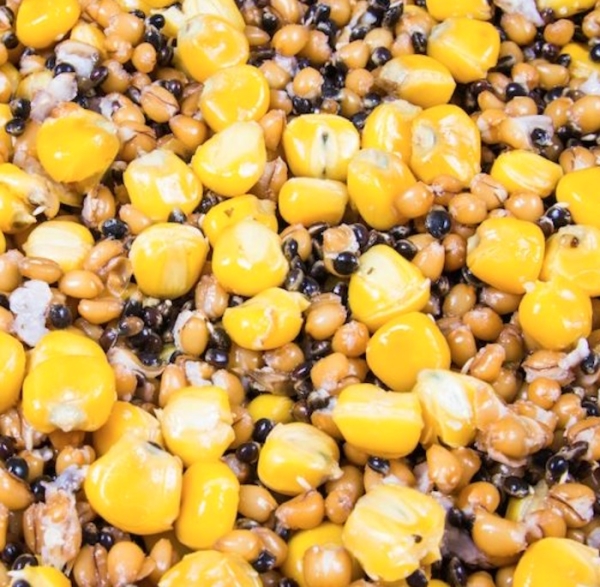 1Kg Gekochter Partikel Mix