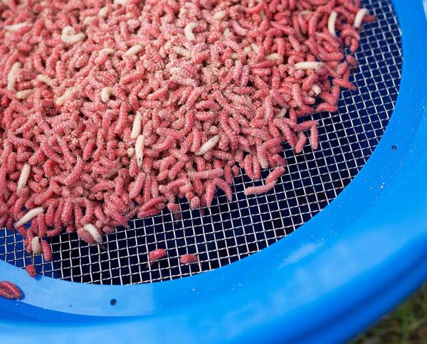 Preston Riddle Futtersieb 4mm