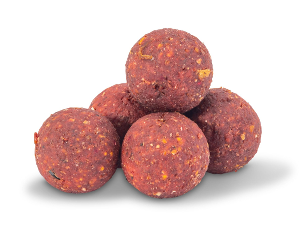 Sänger Anaconda AI Carp R2 Boilie 20mm Bacon & Garlic