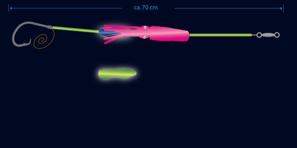 Sänger Aquantic Flashlight Circle Rig