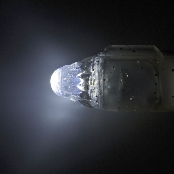 Balzer 71° North Blitzlicht