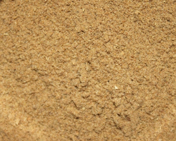 FTM Amino Flash NG Bait Booster Rotaugen