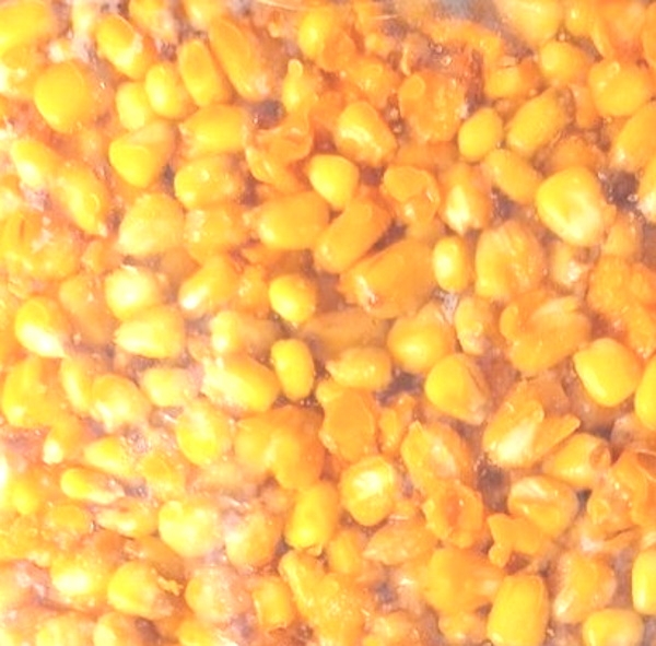 1Kg Gekochter Mais Honig