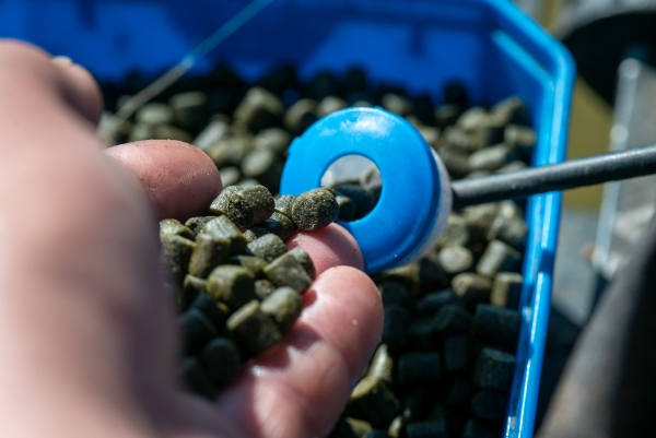 Sonubaits Feed Pellets Green Marine 4mm