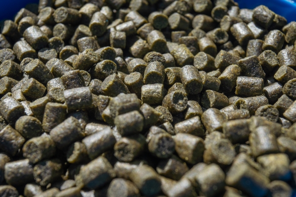 Sonubaits Feed Pellets Green Marine 4mm